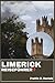 LIMERICK REISEFÜHRER: Ihr unverzichtbarer Reiseführer für Limerick: Praktische Planungstipps, detaillierte Routenvorschläge, historische ... und malerische Tagesausflüge (German Edition)