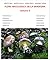 Flora Micologica della Sardegna : Volume 2 (Italian Edition)
