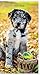 2027-2028 Puppies (Bilingual French) Pocket Planner (English and French Edition)