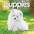 2027 Puppies Mini Calendar