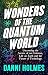Wonders of the Quantum World by Danni Holmes
