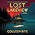 Lost in Lakeview: Loomis Falls