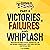Donald J. Trump - Victories, Failures and Whiplash: Part II: Understand How Power Escalates, Oversight Fails, and How Informed Judgment Brings Clarity While Protecting Constitutional Limits.