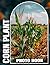 Corn Plant Photobook: Corn Plant Photobook