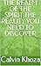 THE REALM OF THE SPIRIT THE REALITY YOU NEED TO DISCOVER