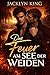 Das Feuer am See der Weiden: Eine intensive M/M-Romanze über zweite Chancen und das Zurückkehren (German Edition)