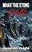 What the Stone Holds (Claimed by Darkness Book 3)