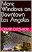 More Windows on Downtown Los Angeles