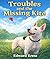 Troubles and the Missing Kite