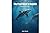 The Pearl Diver's Dolphin: Beneath The Gulf