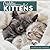 2027 Cuddly Kittens Mini Calendar