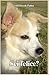 Sei felice?: Quanto costa ai cani il nostro "amore incondizionato" (Italian Edition)