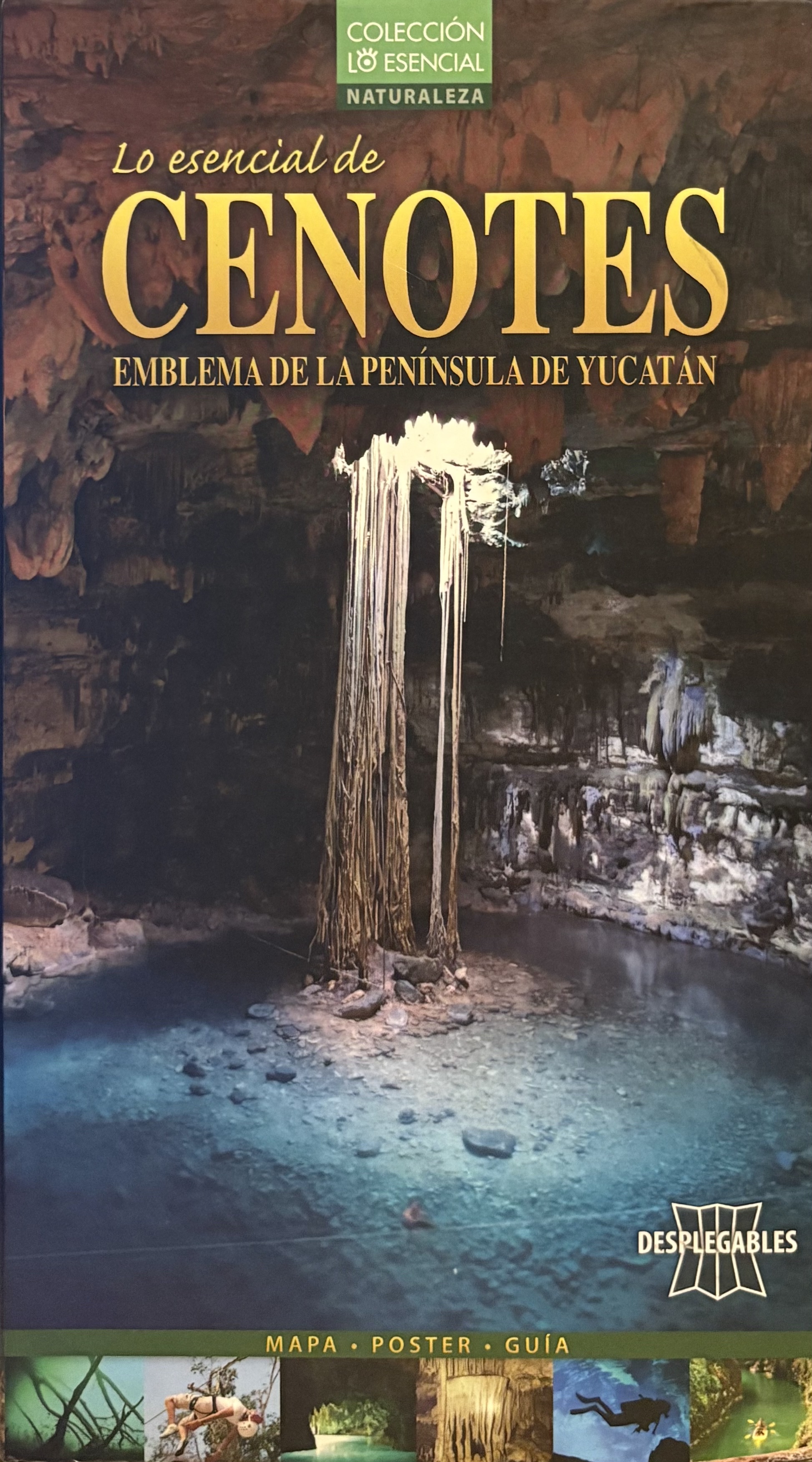Lo esencial de Cenotes. Emblema de la Península de Yucatán (Paperback)
