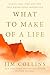 What to Make of a Life by Jim Collins