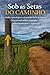 Sob as Setas do Caminho: Onde a Psicologia e o Caminho da Fé se cruzam. (Portuguese Edition)