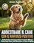 ADDESTRARE IL CANE CON IL R...