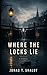 Where the Locks Lie (The Salt and Stone Chronicle Book 2)