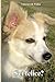Sei felice?: Quanto costa ai cani il nostro "amore incondizionato" (Italian Edition)
