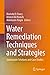 Water Remediation Techniques and Strategies: Sustainable Solutions and Case Studies