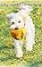 A story about a dog named Curly who loved to play