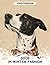 Dogs in Winter Fashion Photo Book: Chic Canine Cold Weather Looks Captured In Snowy Scenes And Festive Holiday Style Images In Seasonal Pet Photography