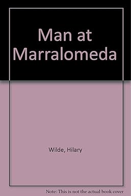 The Man at Marralomeda (Trade Paperback Large Print)