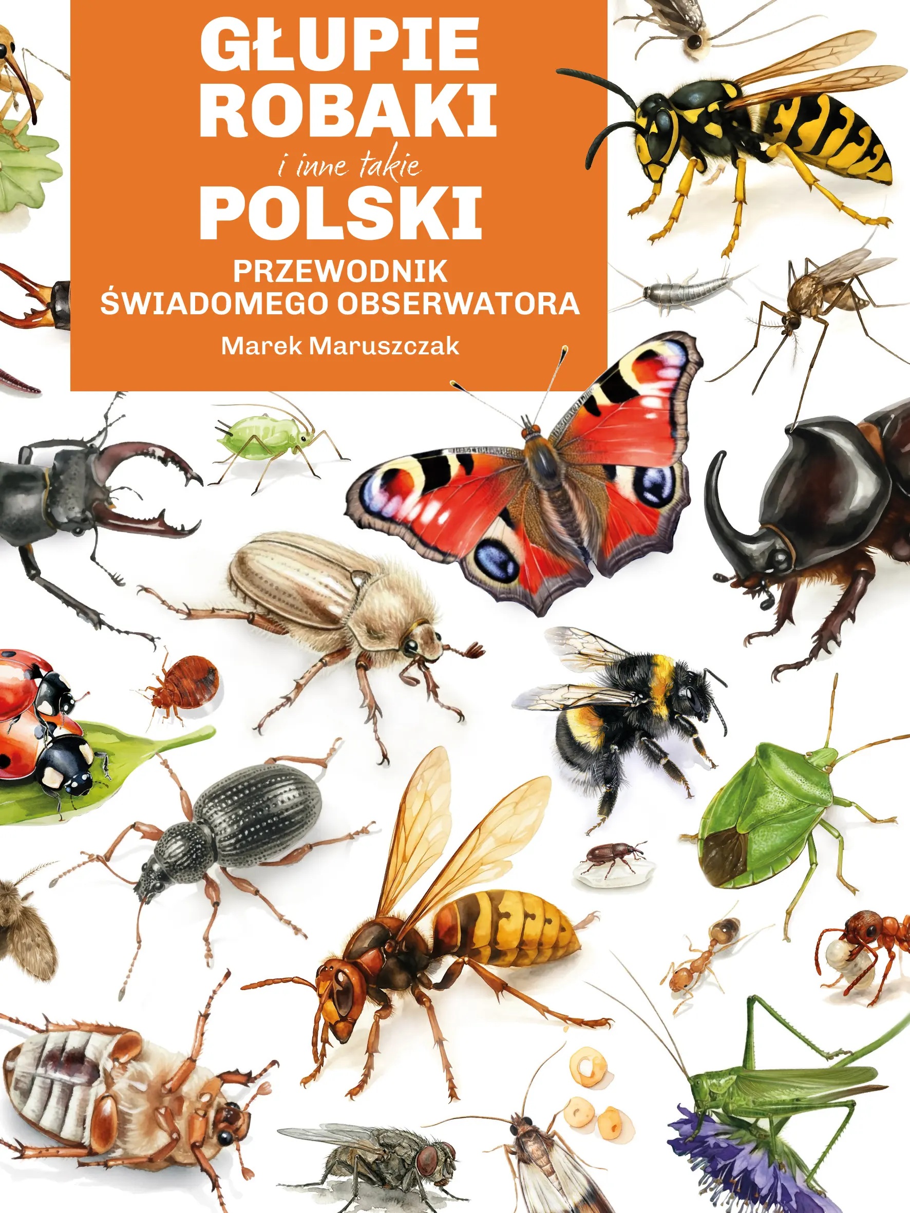 Głupie robaki i inne takie Polski