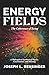 Energy Fields: The Coherence of Being — A Philosophical Synthesis of Physics, Consciousness, and Meaning