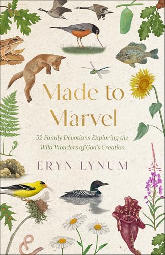 Made to Marvel: 52 Family Devotions Exploring the Wild Wonders of God's Creation (Paperback)