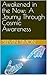 Awakened in the Now: A Journey Through Cosmic Awareness