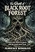 The Ghost of Black Root Forest: Teenagers don’t believe in ghosts—until the woods answer back.