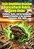 Toxic Amphibian Invasion: Agricultural Hubris Down Under: Predators, Toxins, and the Unstoppable Ecological Disasters in the Australian Ecosystem, 1935–2020