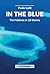 In the Blue: The Maldives in 18 Stories