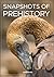 Snapshots of Prehistory