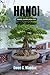 Hanoi Travel Guide 2026-2027: Live It Like a Local, Plan It Like a Pro, Experience It Like Never Before (Live It Like Local: Curated Guide for Authentic and Immersive Travel)