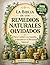 La Biblia de los Remedios Naturales Olvidados: 500 Remedios Herbales de la Abuela para Cuidar a tu Familia y Fortalecer el Bienestar Natural (Spanish Edition)