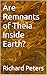 Are Remnants of Theia Inside Earth?