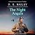 The Night Angels: Secret Mi...