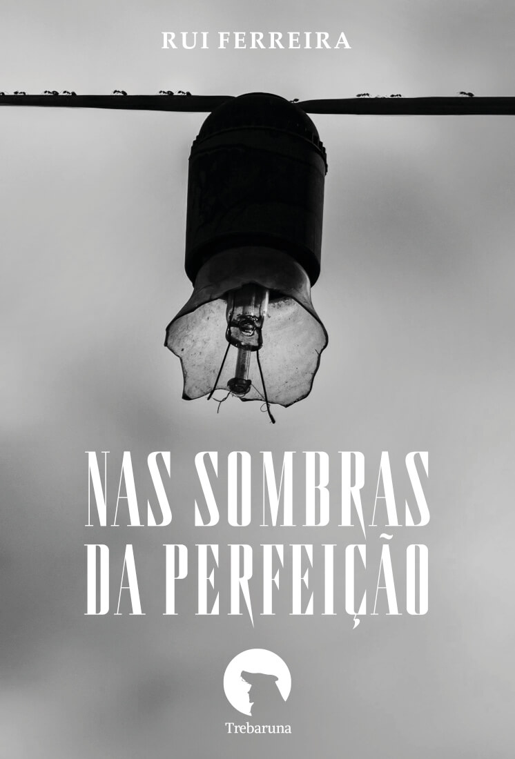 Nas sombras da perfeição