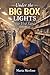 Under the Big Box Lights : Blue Vest Lives Volume 3