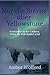 Nur die Sterne über Yellowstone: Gestrandet in der Caldera: Wenn die Welt dunkel wird (German Edition)