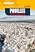 Pouilles Guide De Voyage 2026: Explorez les superbes plages, les villages historiques, la cuisine régionale, les trésors cachés et la culture locale du sud de l'Italie. (French Edition)