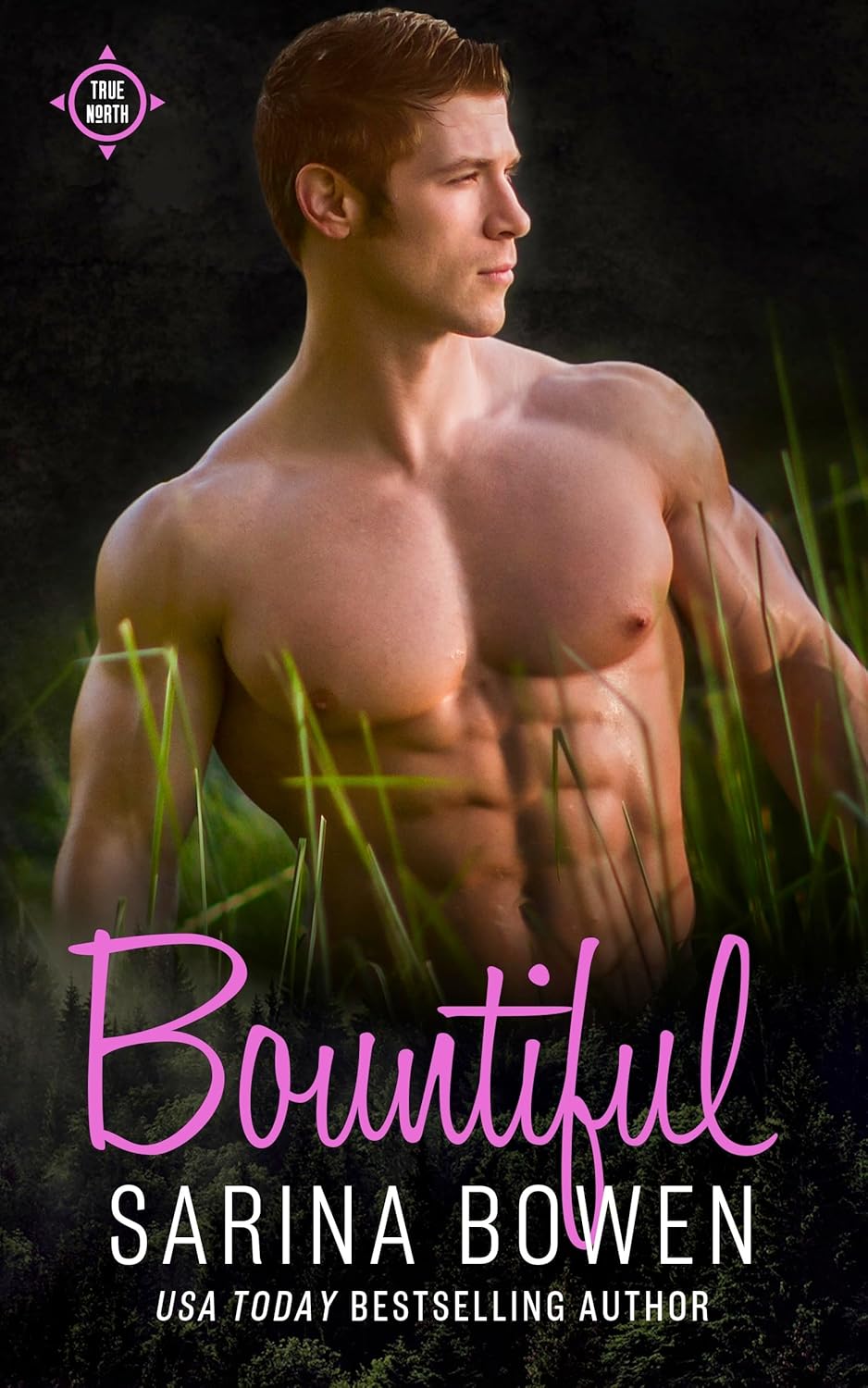 Bountiful (True North, #4; Brooklyn Bruisers, #4.5)