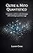 Oltre il Mito Quantistico: Limitazioni, confini e colli di bottiglia della tecnologia quantistica oggi (Italian Edition)