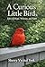 A Curious Little Bird : Tales of Hope, Whimsy, and Faith