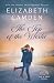 The Top of the World: A Heartfelt Second-Chance Contemporary Romance (Far & Away)