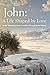 John: The Apostle of Love: A Life Shaped by Jesus, Steadfast Through Every Season (The Bible's Great Lives)