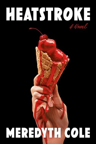 Heatstroke (Kindle Edition)