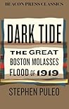 Dark Tide by Stephen Puleo