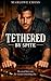 Tethered by Spite (The Restoration Duet)